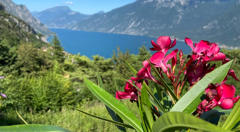 Un balcone sul Garda - Wohnungen in Tremosine