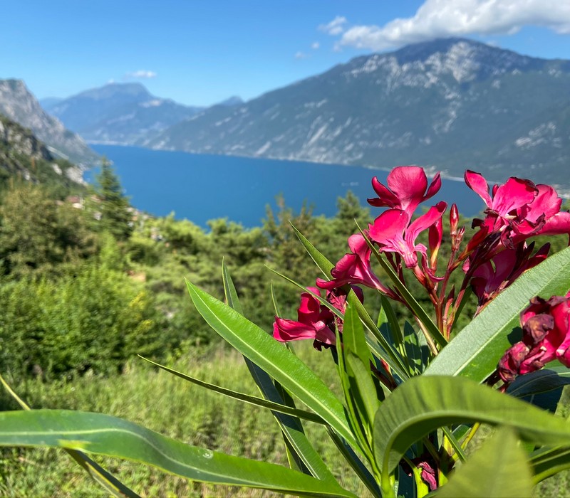 Un balcone sul Garda - Wohnungen in Tremosine