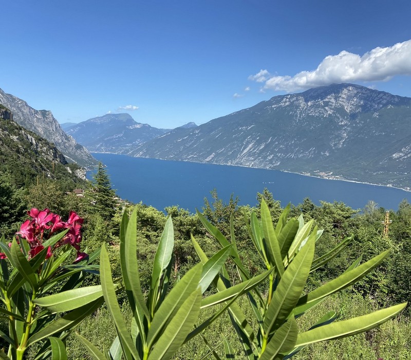Zanoni Apartments | Zanoni Apartments - Apartments für Ihren Urlaub am Gardasee