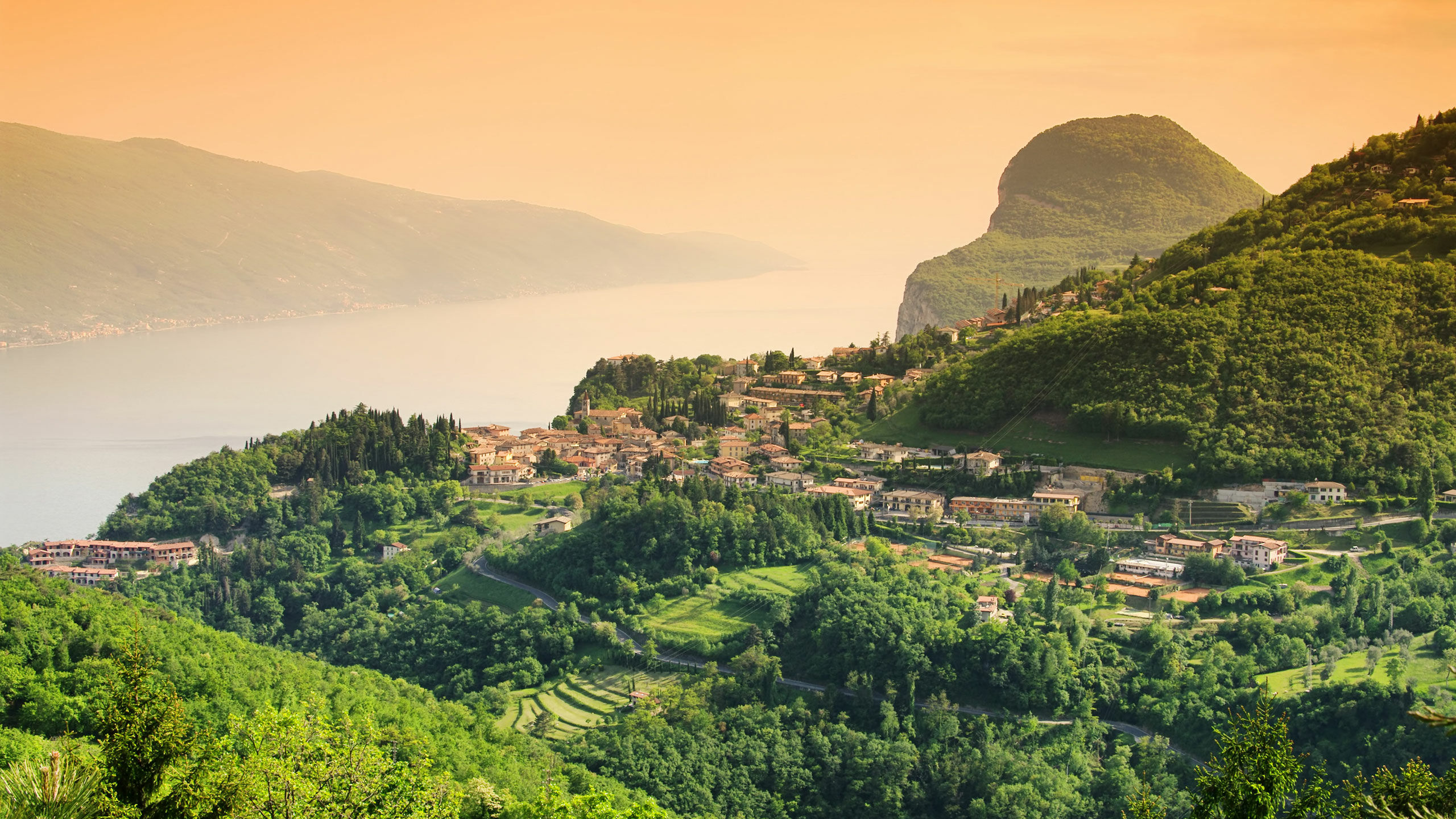 Tremosine -